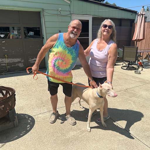 Profile image for pet sitters Linda & Matt