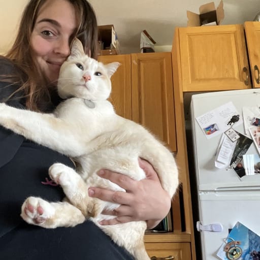 Profile image for pet sitter Sydney