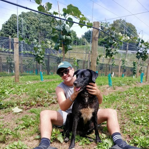 Profile image for pet sitters Trent & Shannon