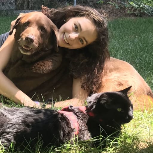 Profile image for pet sitters Olivia & Walter 