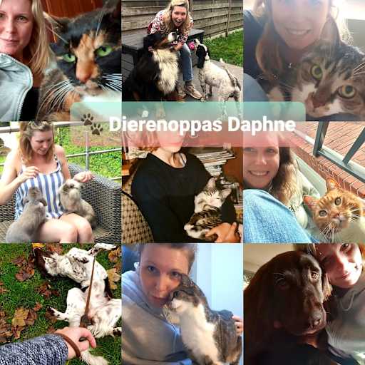 Profile image for pet sitter Daphne