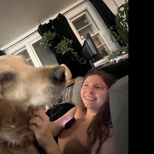 Profile image for pet sitter Iryna