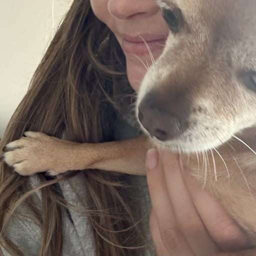 Profile image for pet sitter martyna