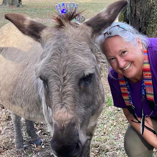 Profile image for pet sitter Kathy