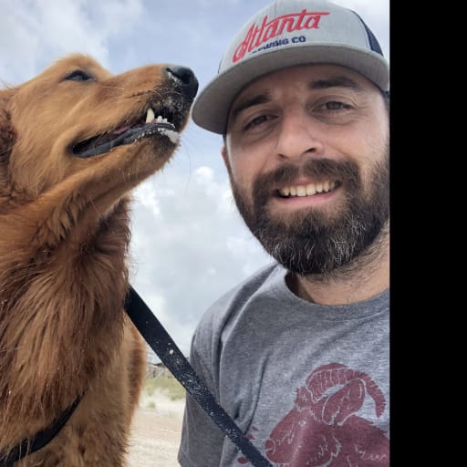 Profile image for pet sitter David