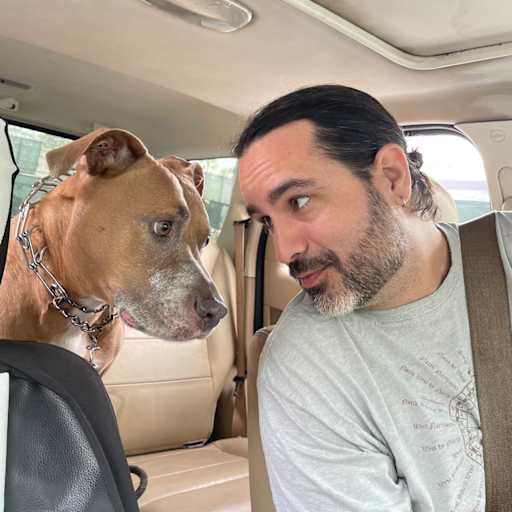 Profile image for pet sitter Nikolas