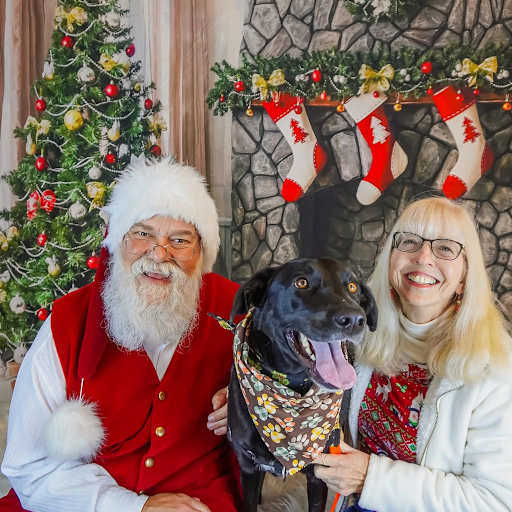 Profile image for pet sitter Ann