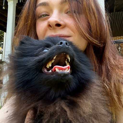 Profile image for pet sitter Abigail