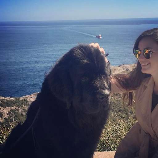 Profile image for pet sitter Chelsea