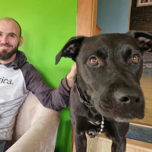 Profile image for pet sitter Felix