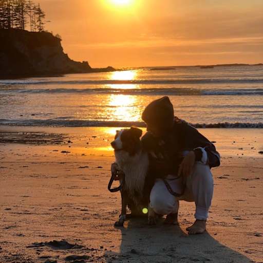 Profile image for pet sitter Casey