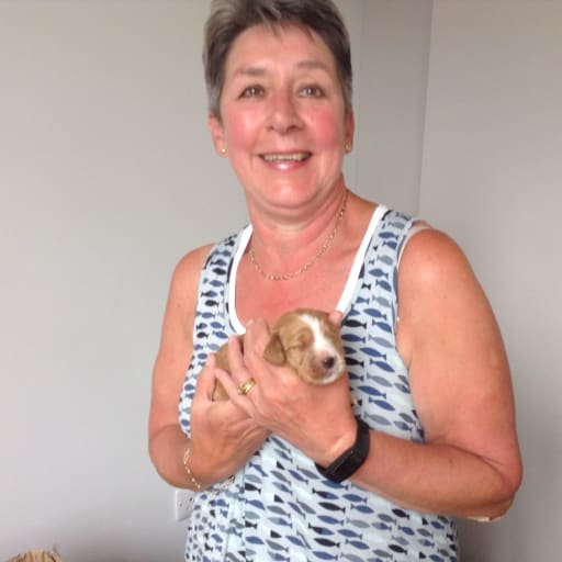 Profile image for pet sitter Michele