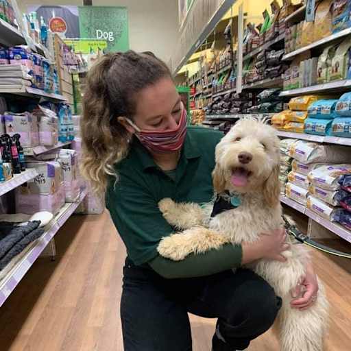 Profile image for pet sitter Cara