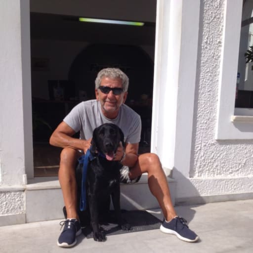 Profile image for pet sitter George