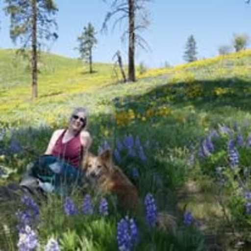 Profile image for pet sitter Patty