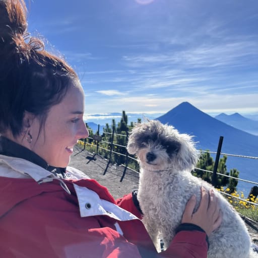 Profile image for pet sitter Eleanor