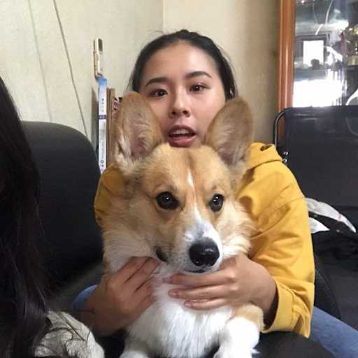 Profile image for pet sitter Yu Tung
