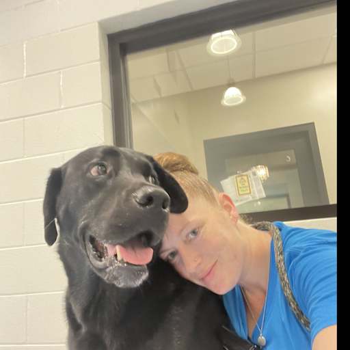 Profile image for pet sitter Britni