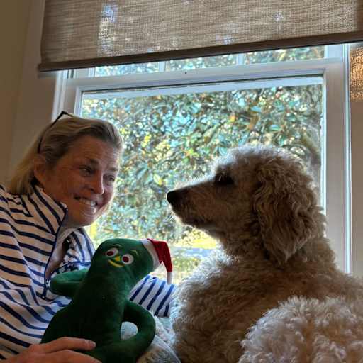 Profile image for pet sitter Weezy