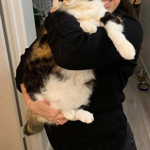 Profile image for pet sitter Luana