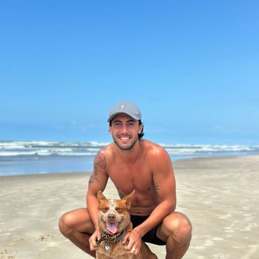 Profile image for pet sitter martin