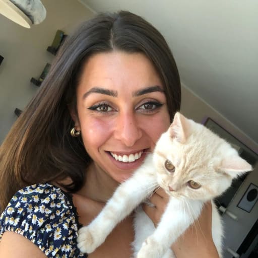 Profile image for pet sitters Iptisam & Steven