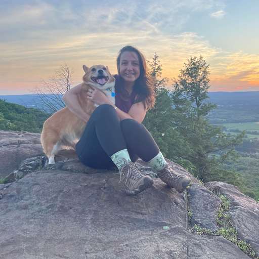 Profile image for pet sitter Sarah