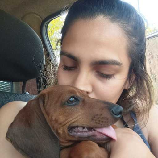 Profile image for pet sitters Celeste & Nahum