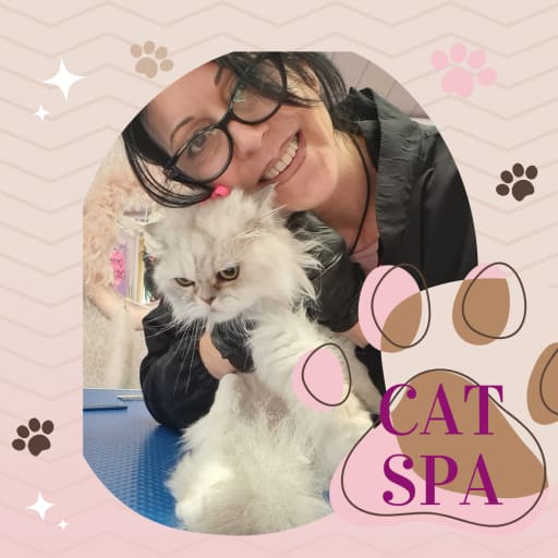 Profile image for pet sitter Debora Maria