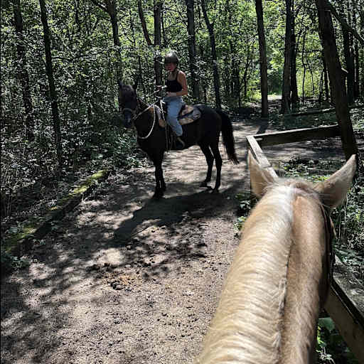 Profile image for pet sitter Alyssa