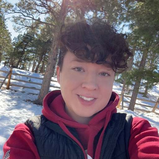 Profile image for pet sitter Adam