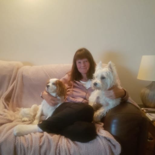 Profile image for pet sitters Susan & David