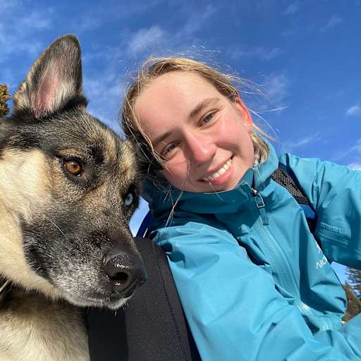 Profile image for pet sitter Sara