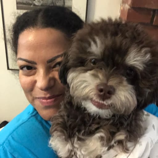 Profile image for pet sitter Dagmar