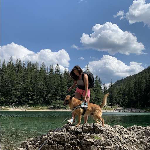 Profile image for pet sitter Yulia