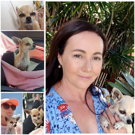 Profile image for pet sitter SHELLY