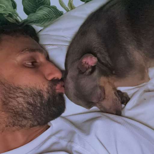 Profile image for pet sitter Patrik