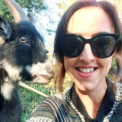 Profile image for pet sitter Deborah