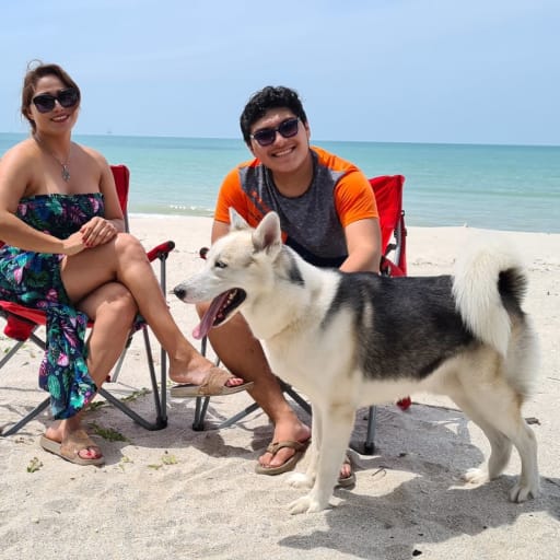 Profile image for pet sitters Fatima y Bryan & Bryan