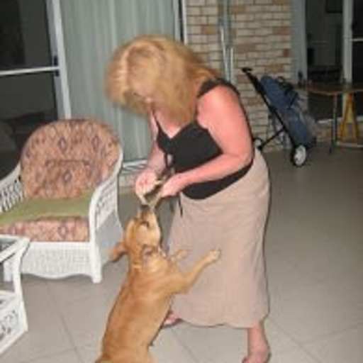 Profile image for pet sitters Kathryn & Victor