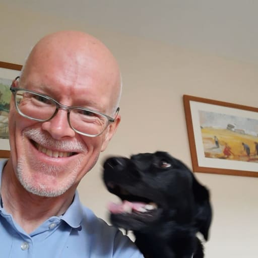 Profile image for pet sitter Steve