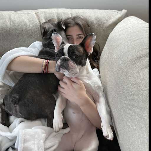 Profile image for pet sitter Rachel