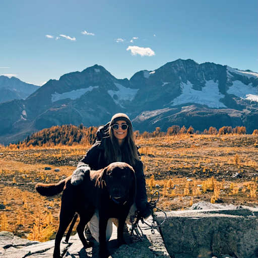 Profile image for pet sitter May