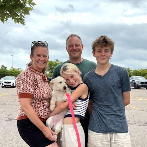 Profile image for pet sitters Jessica & Nick