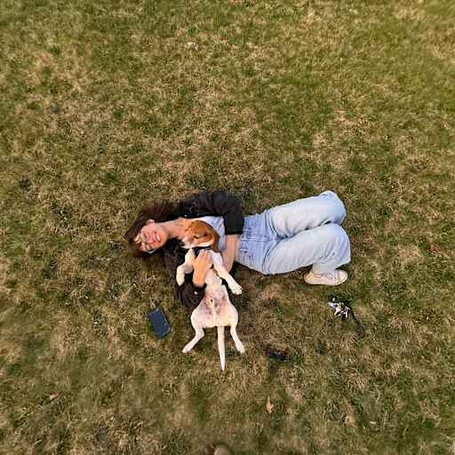 Profile image for pet sitter Blanche