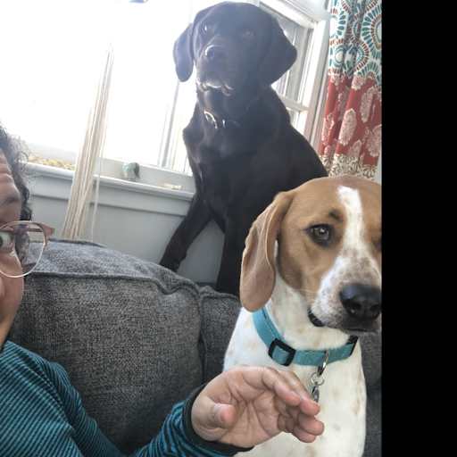 Profile image for pet sitter Gina