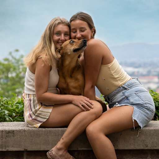 Profile image for pet sitters Lara & Marlene