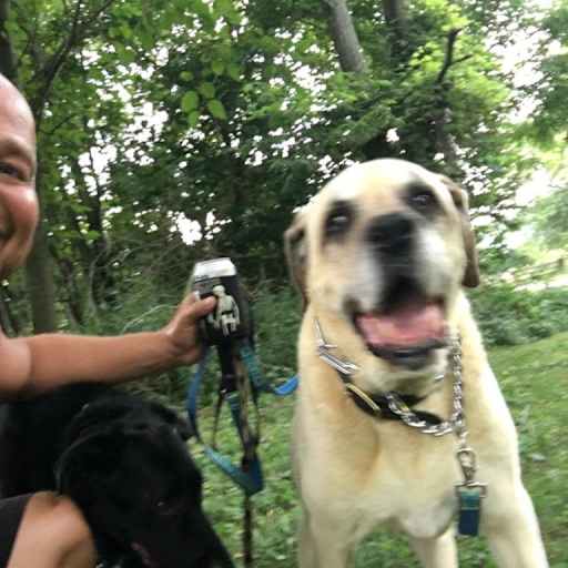 Profile image for pet sitters Shawn & Angela