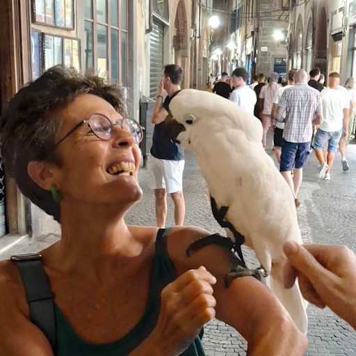 Profile image for pet sitter Efi