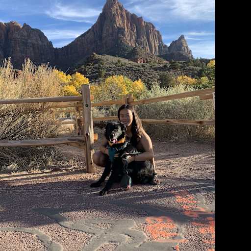Profile image for pet sitter vanessa